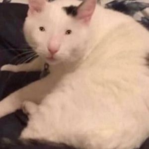 Meet your Posher, Zach